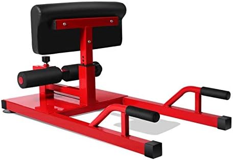 X FACTOR Abs Workout Sissy Squat Abdominal Exercise Equipment 3 in 1 Home Gym, Multi Function Fitness Core Workout Strength Training Equipment, Deep Sissy Squat, Leg Exercise, Cardio Gym