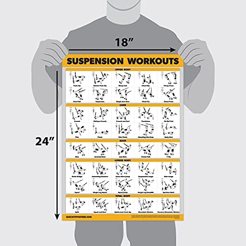 Palace Learning 2 Pack Suspension Workout Posters - Volume 1 & 2 - LAMINATED Exercise Charts - 18" x 24" Vol. 1 & 2
