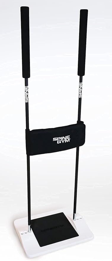 Back Exerciser | Core Strength Training - Adjustable Fitness Equipment for Home & Office Gym - Relieves Back Pain & Improves Posture