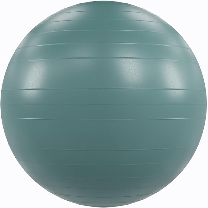 Power Systems Versa Ball Pro Stability Ball