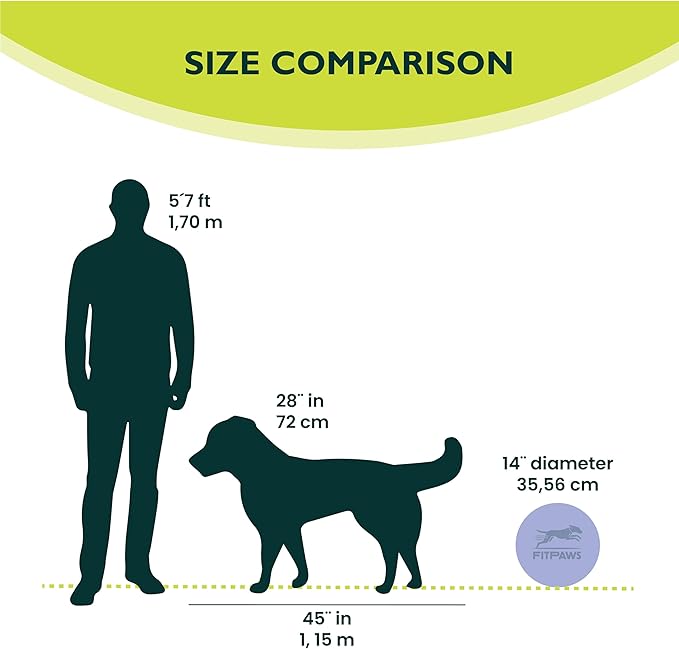 FitPAWS® Dog Balance Disc – 14”, Razzleberry | Dog Exercise Equipment | Workout Tool for Strength, Core, Stability & Rehabilitation