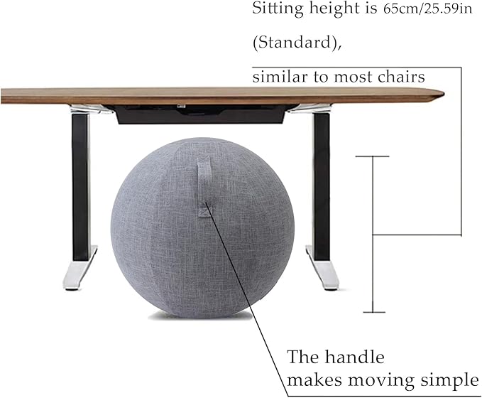 Yoga Ball Cover - Pilates Exercise Yoga Ball Cover, Anti Scratch Exercise Ball Cover with Handle for 55/65/75cm Birthing Ball, Stability Ball, Balance Ball (Without Ball)