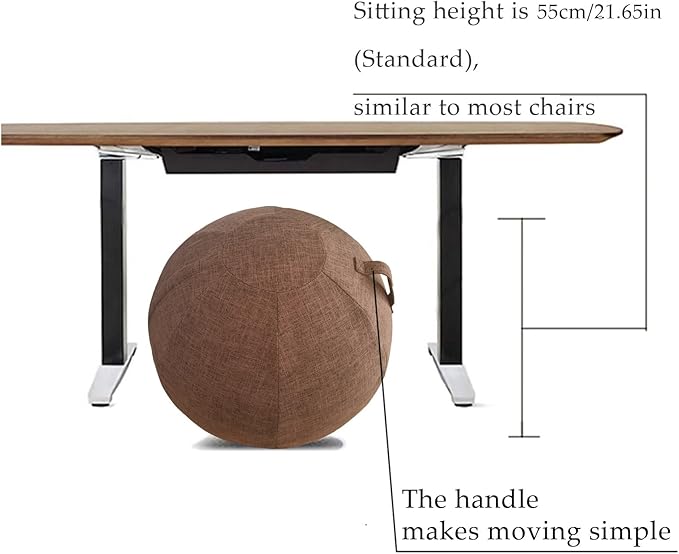 Yoga Ball Cover - Pilates Exercise Yoga Ball Cover, Anti Scratch Exercise Ball Cover with Handle for 55/65/75cm Birthing Ball, Stability Ball, Balance Ball (Without Ball)