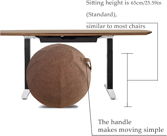 Yoga Ball Cover - Pilates Exercise Yoga Ball Cover, Anti Scratch Exercise Ball Cover with Handle for 55/65/75cm Birthing Ball, Stability Ball, Balance Ball (Without Ball)