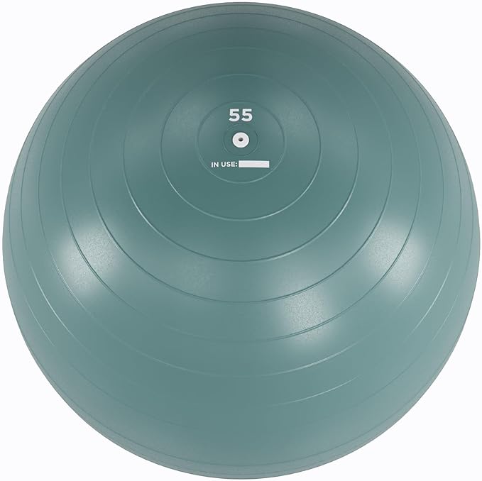 Power Systems Versa Ball Pro Stability Ball