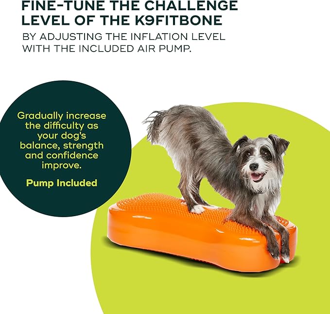 FitPAWS® K9FITbone® - Regular, Orange | Dog Balance Training Platform & Exercise Equipment | Workout Tool for Strength, Core & Stability