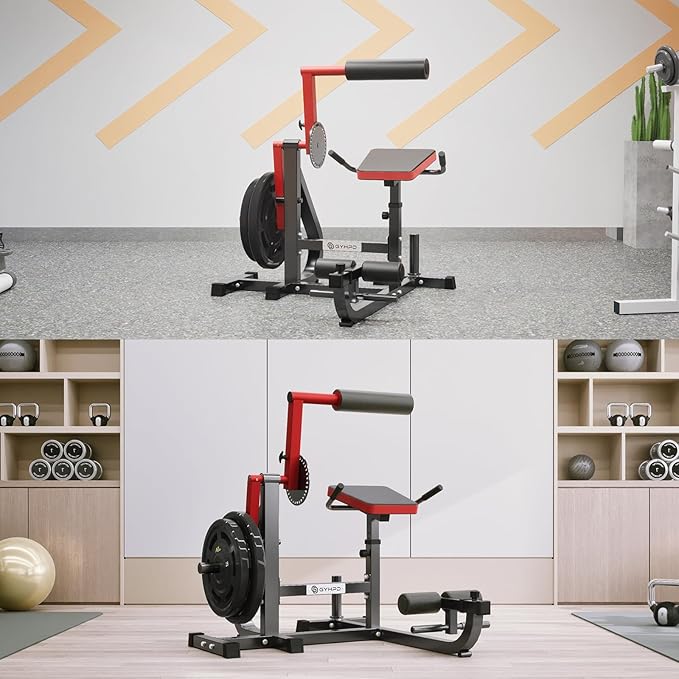 Ab/Back Machine, AB Crunch Back Extension Machine with Armrests, Adjustable Core Muscle Strength Training Machine, AB Workout Machine for Upper Body Workout, Home Gym Equipment