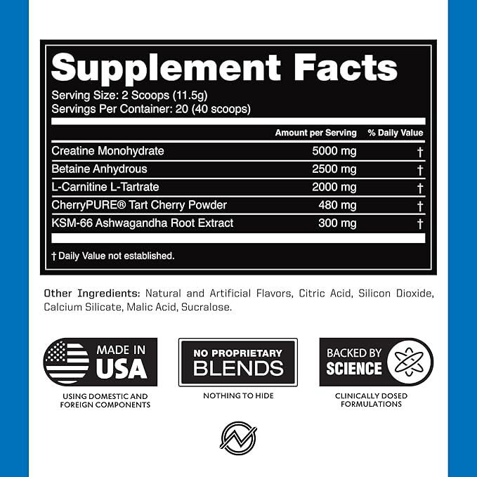 Outwork Nutrition Post Workout Recovery Powder - Creatine Monohydrate, KSM-66 Ashwagandha & Tart Cherry - Speeds Recovery, Eases Soreness - Creatine Powder for Men & Women, Berry Splash, 240 Gr