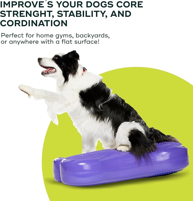 FitPAWS® K9FITbone CanineGym® Dog Balance Training Platform – Giant