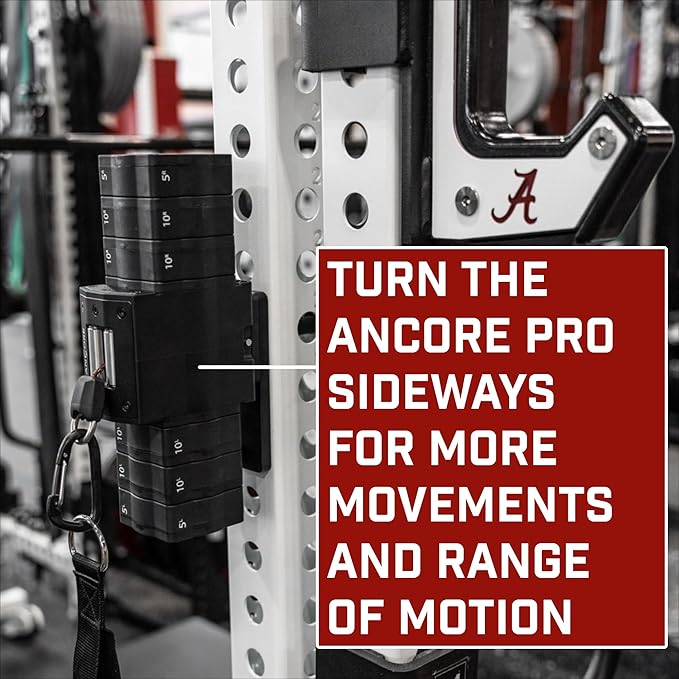 Ancore Pro: Home Gym Cable Machine | Portable Workout System for Strength Training | Comes with Mount for a Squat Rack or Pole | Full-Body Workout | Used by 100+ Pro Teams