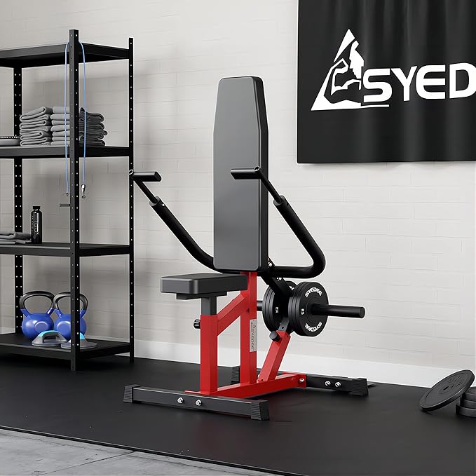 Seated Dip Machine Plate Loaded- Tricep Dip Press Machine with Cable Bar for Biceps Chest Training, Hold up to 400LBS