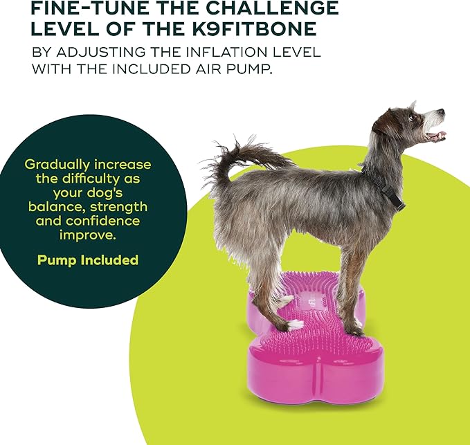 FitPAWS® K9FITbone® - Regular, Razzleberry | Dog Balance Training Platform & Exercise Equipment | Workout Tool for Strength, Core & Stability