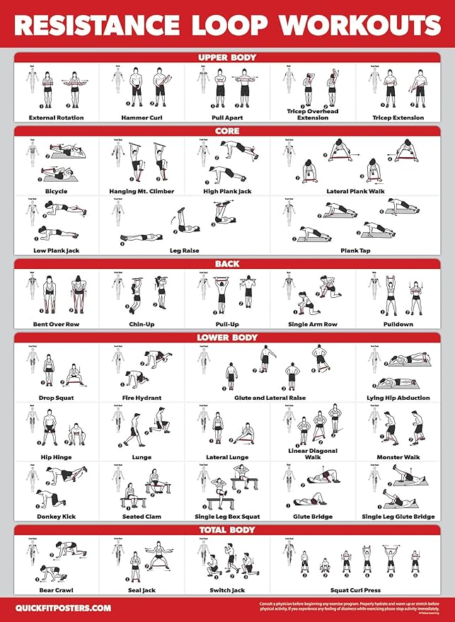 Palace Learning 4 Pack - Resistance Bands Workout Exercise Posters Volume 1, 2 & 3 + Resistance Loops Fitness Chart (LAMINATED, 18" x 24")