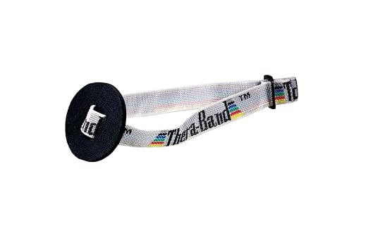 THERABAND Door Anchor, Accessories for Elastic Resistance Bands & Tubes, Exercise Equipment to Create Home Gym Workout, Overdoor Station for Overhead Physical Therapy, Upper Body, & Shoulder Exercises
