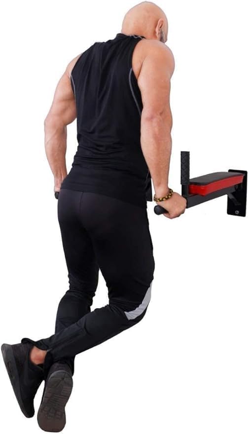 Wall Mount Dip Station with 4 Padded Handle Bars, Heavy Duty