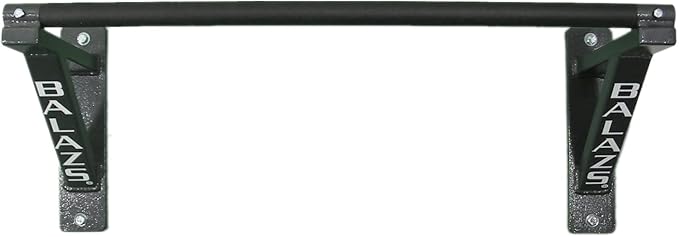 Balazs Non-Adjustable Wall-Mounted Pull-up Bars
