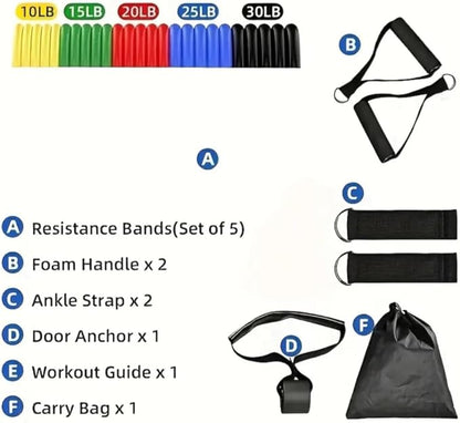 Resistance Bands Set with Handles, 5 Stackable Exercise Bands for Working Out, Home Gym Equipment with Door Anchor, Ankle Straps & Carrying Case for Strength Training, Physical Therapy & Fitness.