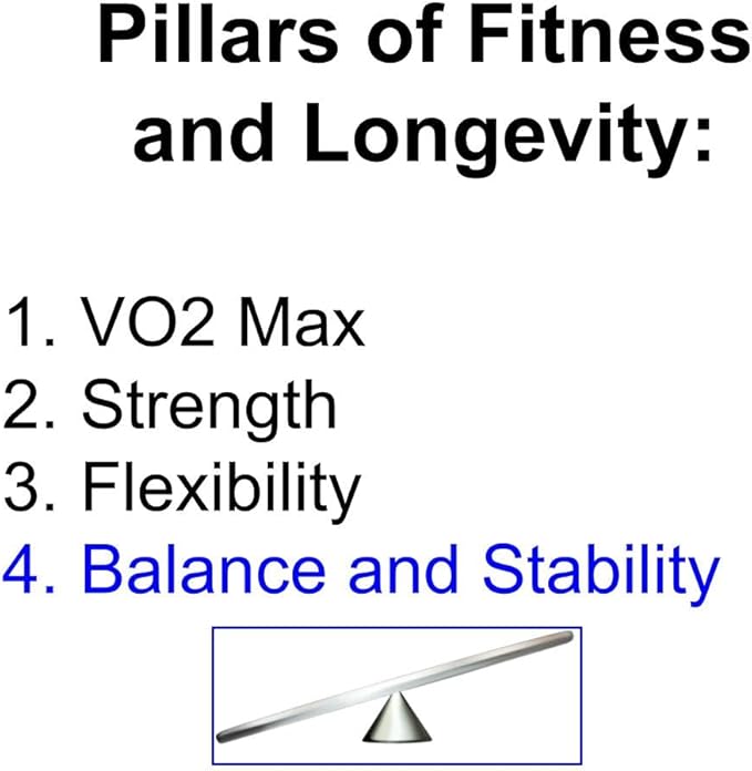 AcrobaX Balance Disc Trainer, 4-inch, Stainless Steel, for Acrobats, Athletes, Longevity, and Ankle Rehab for Balance Improvement, Adavanced Level Difficulty