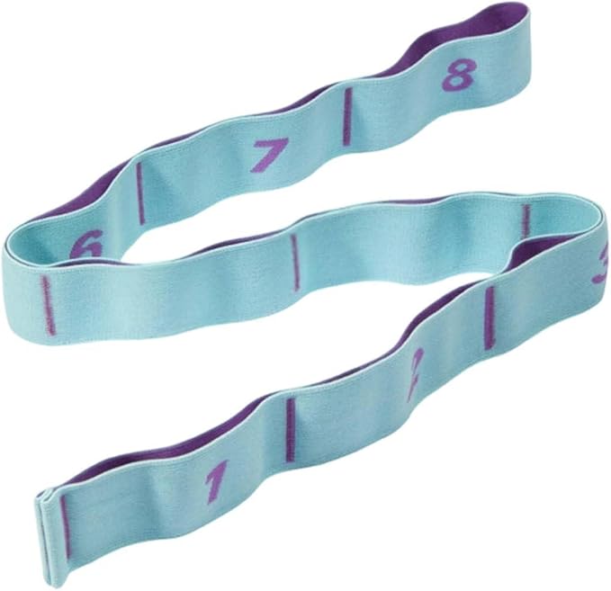 Resistance Bands for Working Out, 8-Levels Elastic Adjustable Exercise Bands for Men and Women,Yoga,Pilates,Body Stretching,Booty Legs,Stretch Bands for Fitness,Training,Physical Therapy,Gym