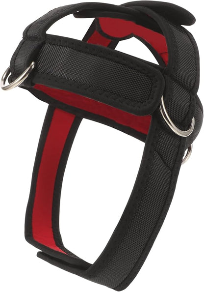 Kisangel Adjustable Neck Harness, Weight Lifting Strap Heavy Duty Neck Trainer Strapfor Exerciser Strength Training Fitness Equipment