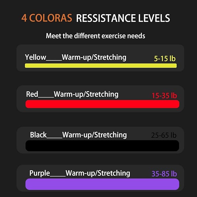 Rubber Resistance Bands Set - Elastic Workout Bands for Men & Women, Heavy Duty Fitness Bands Kit for Home Gym, Physical Therapy and Stretch Training-4 Levels