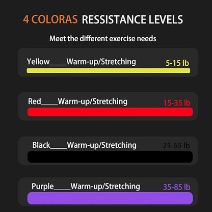Rubber Resistance Bands Set - Elastic Workout Bands for Men & Women, Heavy Duty Fitness Bands Kit for Home Gym, Physical Therapy and Stretch Training-4 Levels