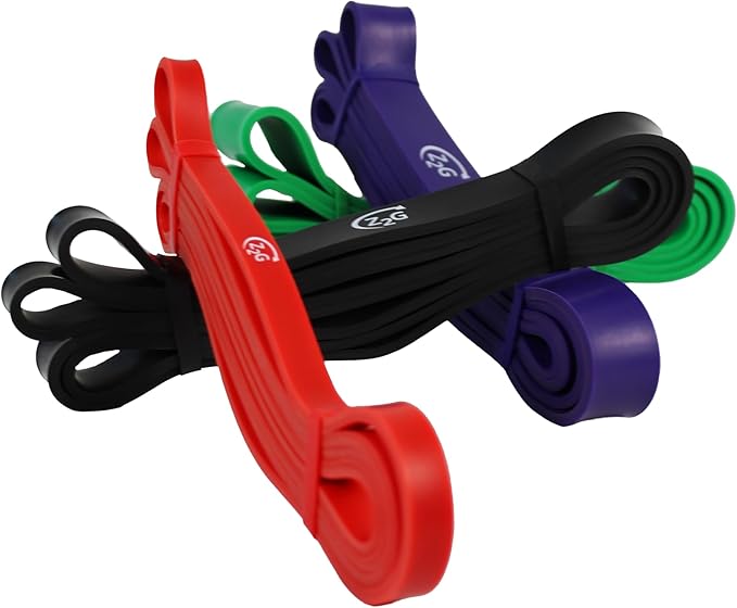 Z2G Exercise Power Band Set – 4 Heavy-Duty Resistance Bands (Light to X-Heavy) with Travel Bag – Strength & Mobility Training for Women, Men & Youth