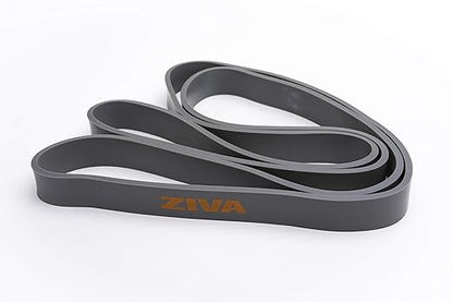 Ziva PRO Portable Resistance Band - Pull Up Assistance Exercise Bands for Home Fitness, Stretching, Strength Training, Physical Therapy – Medium Resistance, 41" L, 22-44 lbs. Tension