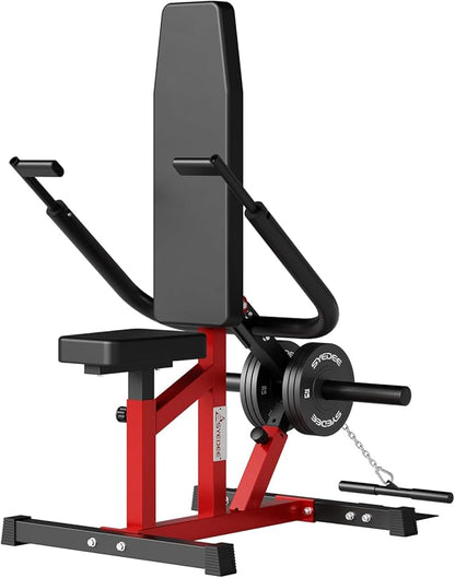 Seated Dip Machine Plate Loaded- Tricep Dip Press Machine with Cable Bar for Biceps Chest Training, Hold up to 400LBS