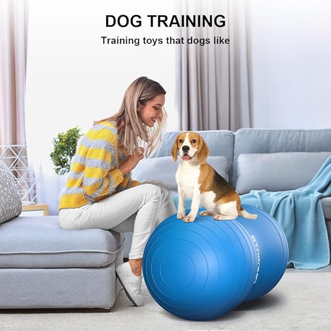 Anti-Burst Peanut Ball,Kids Active Wiggle Seat,for Labor, Therapy, Kids with ADHD – Eco-Friendly Birth Ball for Pregnancy, Physical Therapy & Exercise– with Pump