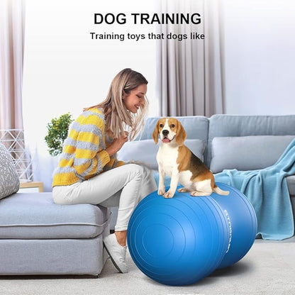 Anti-Burst Peanut Ball,Kids Active Wiggle Seat,for Labor, Therapy, Kids with ADHD – Eco-Friendly Birth Ball for Pregnancy, Physical Therapy & Exercise– with Pump