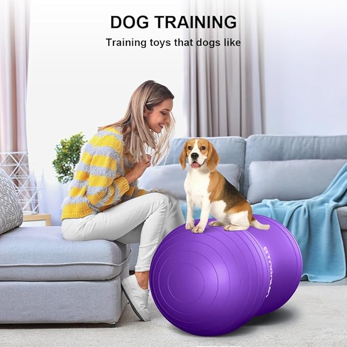 Anti-Burst Peanut Ball,Kids Active Wiggle Seat,for Labor, Therapy, Kids with ADHD – Eco-Friendly Birth Ball for Pregnancy, Physical Therapy & Exercise– with Pump