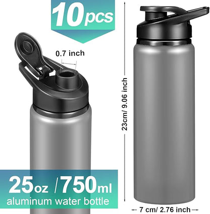 Chengu 10 Pcs 25oz Reusable Aluminum Water Bottle Bulk Lightweight Outdoor Sports Water Bottles Easy Carry Leak Proof for Travel Gym Camping Hiking Fishing, Snap Lid (Gray)