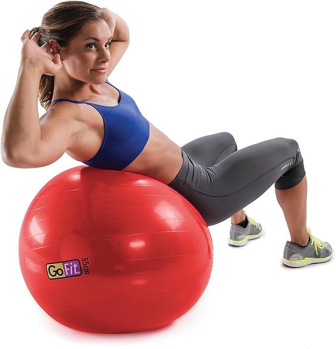 GoFit Stability Ball