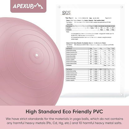 APEXUP Yoga Ball Exercise Ball Anti Slip Heavy Duty for Fitness, Balance & Core Workout