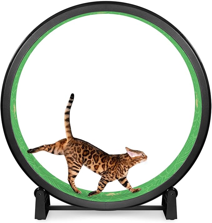 One Fast Cat - Cat Exercise Wheel - Gen. 7 - Safe 48" Diameter - Made in The USA - Black Wheel with Tropical Frogs Foam Traction Pads and Solid Inline Wheels