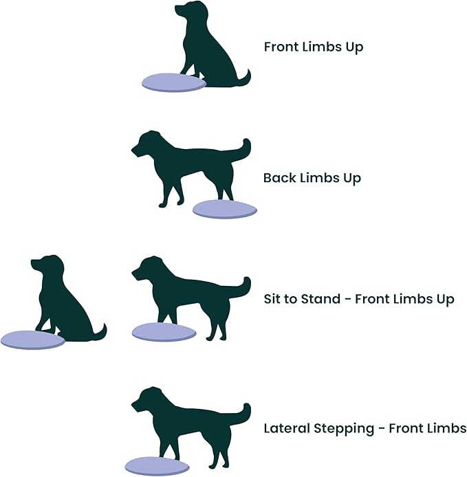 FitPAWS® Dog Balance Disc – 22”, Blue | Dog Exercise Equipment | Workout Tool for Strength, Core, Stability & Rehabilitation