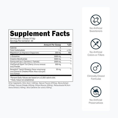 Transparent Labs Post - Post-Workout Recovery Muscle Builder w/L-Glutamine, Creatine Monohydrate, & Carnipure L-Carnitine L-Tartrate for Muscle Recovery & Building - 30 Servings, Orange
