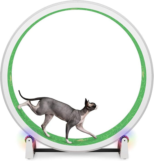 One Fast Cat - Cat Exercise Wheel - Gen. 7 - Safe 48" Diameter - Made in The USA - White Wheel with Tropical Frogs Foam Traction Pads and Light-Up LED Inline Wheels