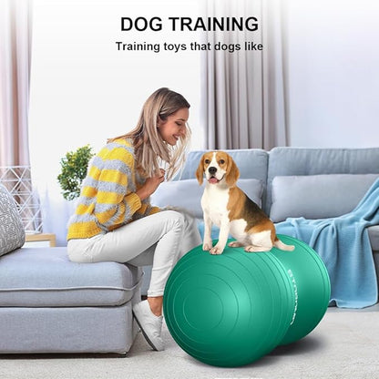 Anti-Burst Peanut Ball,Kids Active Wiggle Seat,for Labor, Therapy, Kids with ADHD – Eco-Friendly Birth Ball for Pregnancy, Physical Therapy & Exercise– with Pump