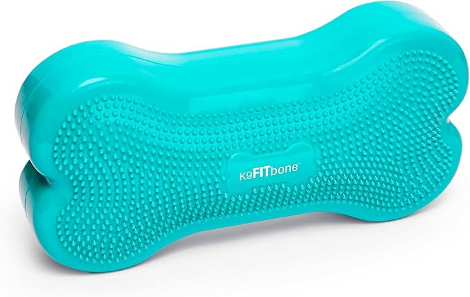 FitPAWS® K9FITbone® - Regular, Aqua | Dog Balance Training Platform & Exercise Equipment | Workout Tool for Strength, Core & Stability