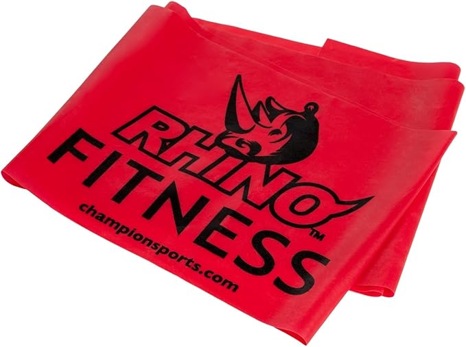 Champion Sports Resistance Therapy Stretch Flat Band