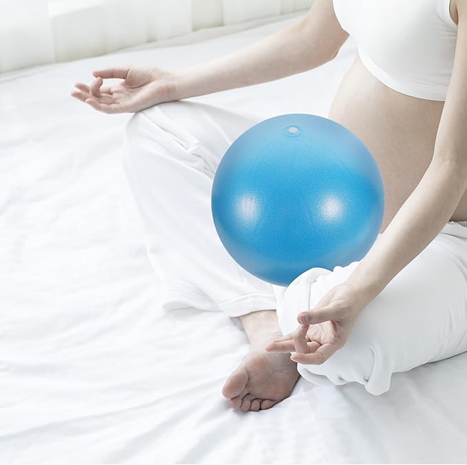 2pcs Small Pilates Exercise Balls 10-inch Non-Burst Yoga Balls for Core Training, Physical Therapy, Balance Workouts at Home Gym, Blue