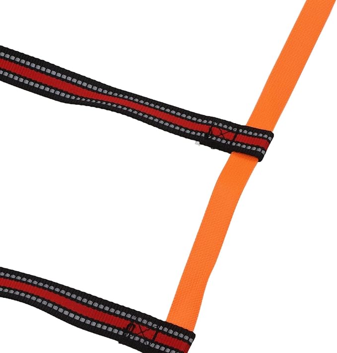 Adjustable Speed Training Ladder for Footwork Practice, 5 Meter 10 Rung Equipment with Smart Spacing