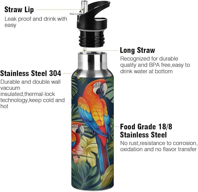 AUUXVA Cute Parrot Macaw Bird Water Bottle Vacuum Insulated Stainless Steel Mug Kids Water Bottle with Straw and Handle Keep Hot Cold Sport Bike Fit Travel Outdoor 20 oz