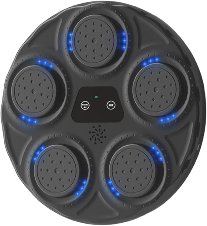 Electronic Music Boxing Wall Target Training Equipment for Taekwondo