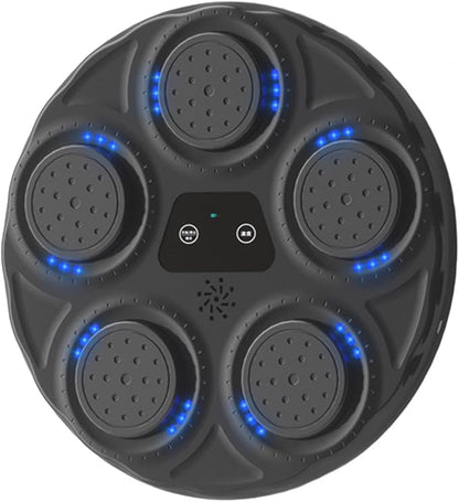 Electronic Music Boxing Wall Target Training Equipment for Taekwondo