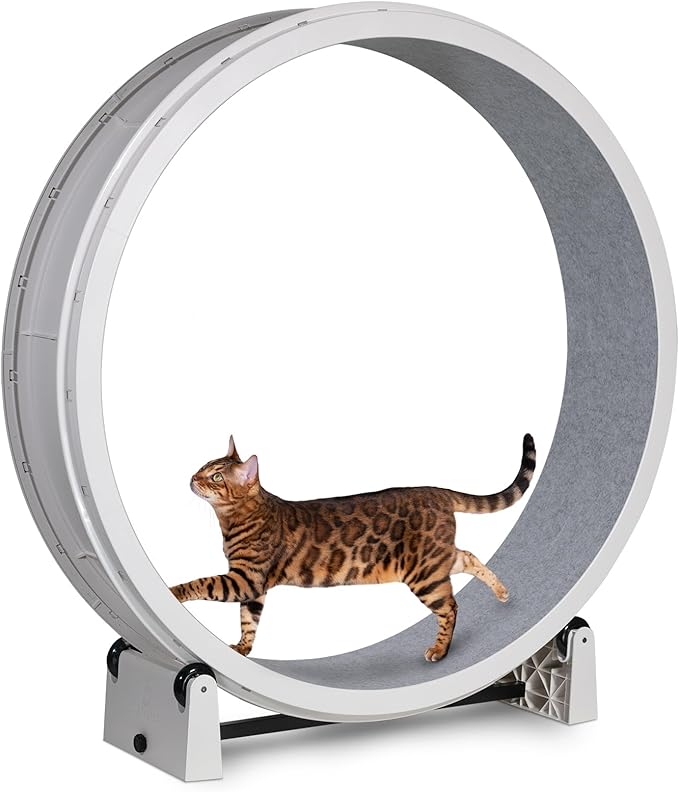 One Fast Cat - Cat Exercise Wheel - Gen. 7 - Safe 48" Diameter - Made in The USA - White Wheel with Gray Felt Traction Pads and Light-Up LED Inline Wheels
