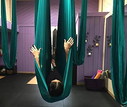 F.Life Aerial Silk Yoga Hammock & Swing for yoga Inversion,Strength training,starter hardware kit