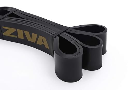 Ziva PRO Portable Resistance Band - Pull Up Assistance Exercise Bands for Home Fitness, Stretching, Strength Training, Physical Therapy – Extra Heavy Resistance, 41" L, 44-66 lbs. Tension